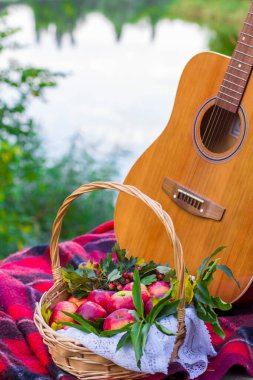 Doğada piknik. Nehir kenarında piknik. Gitar ve kırmızı elmalar sepetin içinde nehirin yanındaki ekose battaniyenin üzerinde..