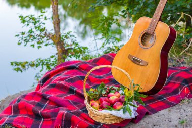 Doğada piknik. Nehir kenarında piknik. Gitar ve kırmızı elmalar sepetin içinde nehirin yanındaki ekose battaniyenin üzerinde..