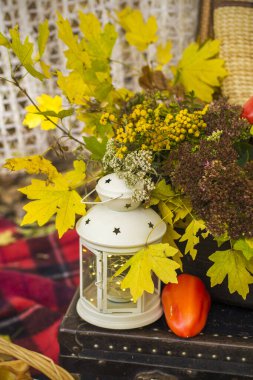 Ormanda sonbahar pikniği için dekorasyon. Doğada geçmişe dönük bir fotoğraf. Sonbahar sıcağı. Hint yazı. Kırsal sonbahar natürmortu. Hasat ya da Şükran Günü. Sonbahar dekoru, parti. Fener, eski bavullar.