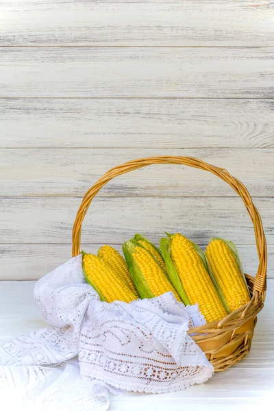 Fresh corn on cob in wicker basket. Untreated corn cobs. Fresh corn vegetable in basket. Harvested corn in wicker basket, freshly picked maize ears out in agricultural field landscape, selective
