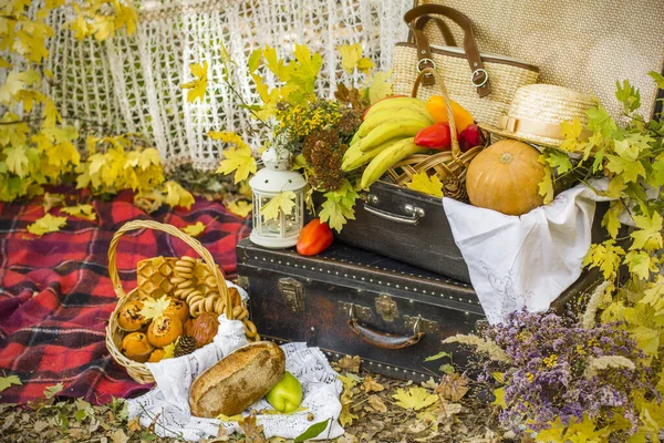 Decorations for autumn picnic in forest. Retro photo in nature. Autumn warm days. Indian summer. rustic autumn still life. Harvest or Thanksgiving. autumn decor, party. lantern, bananas, pumpkin