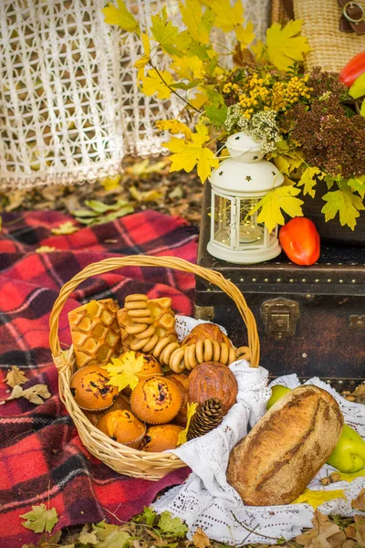 Decorations for autumn picnic in forest. Retro photo in nature. Autumn warm days. Indian summer. rustic autumn still life. Harvest or Thanksgiving. autumn decor, party. lantern, vintage suitcases