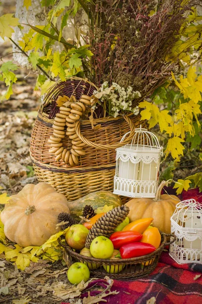 森の中で秋のピクニックのための装飾 自然の中でレトロな写真 秋の暖かい日 インドの夏 素朴な秋の静物画 収穫または感謝祭 秋の装飾パーティー ランタンカボチャ — ストック写真