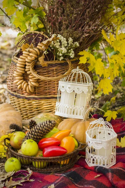 Ormanda sonbahar pikniği için dekorasyon. Doğada geçmişe dönük bir fotoğraf. Sonbahar sıcağı. Hint yazı. Kırsal sonbahar natürmortu. Hasat ya da Şükran Günü. Sonbahar dekoru, parti. Eski dekorasyonlar