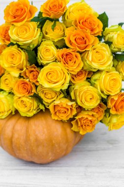 Beyaz tahta tahtada sarı güller ve balkabağı demeti. Güzel sarı güller. Sonbahar dekoru