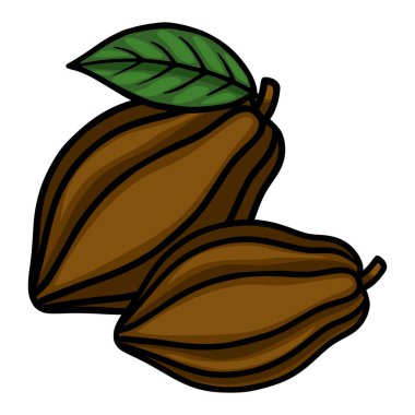 A charming vector illustration of two ripe cocoa pods with a single green leaf, rendered in a bold, graphic style with distinct outlines and smooth color gradients.
