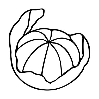 Minimalist siyah ve beyaz vektör illüstrasyonunda stilize edilmiş, segmentli bir meyve mandalinası..