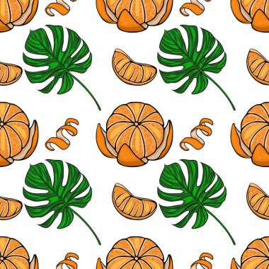 Kabuğu soyulmuş mandalinalar, sulu segmentler ve temiz beyaz arkaplana karşı gür yeşil canavar yaprakları içeren canlı vektör deseni.