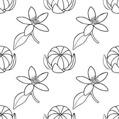 Minimalist siyah-beyaz çizgili kusursuz vektör deseni. Mandalina çiçekleri ve meyve segmentleri..