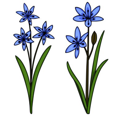 Koyu merkezli ve yeşil yapraklı stilize mavi scilla çiçekleri, beyaz arkaplanda temiz bir vektör çizimi olarak sunulmaktadır..