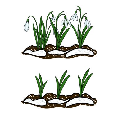 Karlı zeminden yükselen narin kar damlalarının büyüleyici temsili, baharın gelişini simgeliyor..