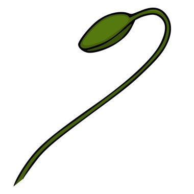 Kavisli bir kök üzerinde tek bir yeşil haşhaş tomurcuğunun minimalist vektör çizimi.