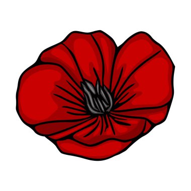 Kalın Siyah Çizgiler ve İnce Gradyan Gölgeli Kırmızı Haşhaş Vektör İllüstrasyonu