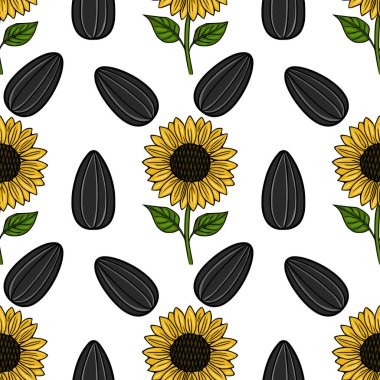 Çiçek açan ayçiçekleri ve tohumlarını beyaz arka planda gösteren kusursuz vektör deseni.