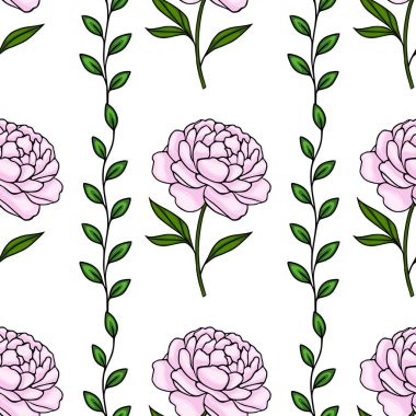 Hassas pembe şakayık çiçekleri ve temiz beyaz arkaplan ve yeşil yapraksız desen..