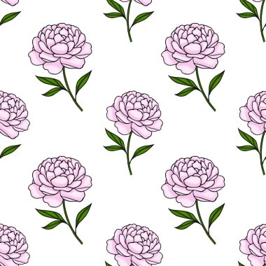 Kusursuz vektör deseni beyaz arka planda yeşil yapraklı hassas pembe şakayıklar içeriyor..