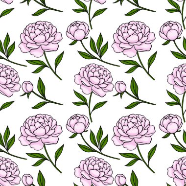 Beyaz arka planda yeşil yaprakları olan kusursuz pembe şakayık desenli el çizimi çizimsel bir şekil..