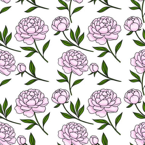 Beyaz arka planda yeşil yaprakları olan kusursuz pembe şakayık desenli el çizimi çizimsel bir şekil..