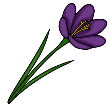 Narin sarı kekik çiçekleri ve uzun yeşil yaprakları beyaz arka planda temiz bir vektör çizimi olarak sunuluyor..