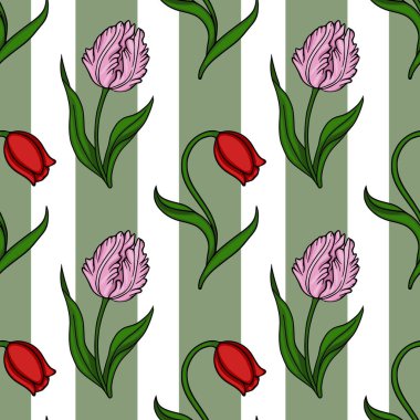 Şekillendirilmiş lalelerin kusursuz vektör deseni ve çizgili yeşil ve beyaz arka planda yapraklar, canlı yeşil yapraklarla hassas pembe ve koyu kırmızı çiçekler..