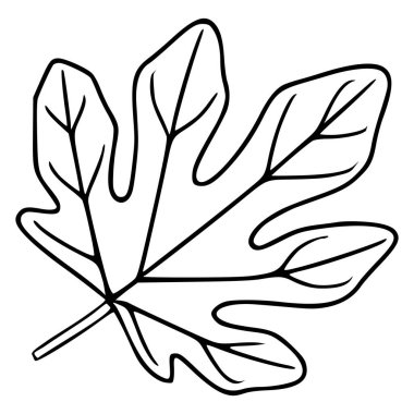 Belirgin damarları olan bir incir yaprağının tertemiz beyaz bir arkaplanda sunulan minimalist siyah ve beyaz vektör çizimi..