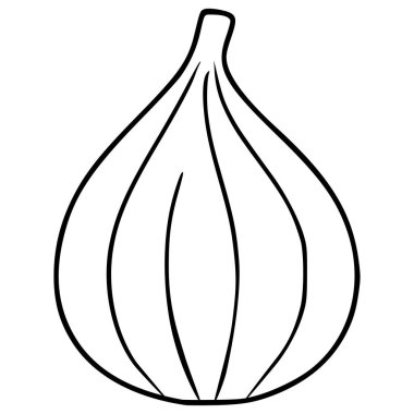 Sapı olan tek bir olgun incirin el çizimi vektör çizimi, kendine özgü segmentli şeklini ve kalın ana hatlarını gösteriyor..