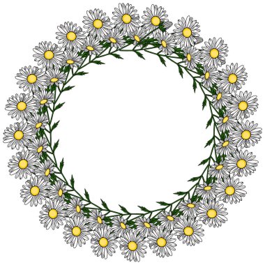 Sarı merkezli ve yeşil yapraklı beyaz papatyalardan oluşan hassas bir vektör çelengi, metin veya tasarım elementleri için dairesel bir çerçeve oluşturur..