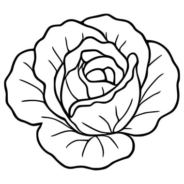 Beyaz arka planda koyu siyah çizgileri olan çiçek açan bir gülün minimalist vektör çizimi katmanlı yapraklarını stilize ve grafik şeklinde sergiliyor..