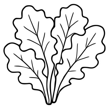 Beyaz arka planda koyu siyah çizgileri olan bir grup yapraklı yeşilin el çizimi vektör çizimi.