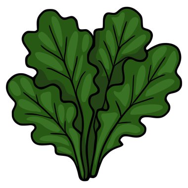 Cesur siyah çizgileri ve ince gölgelemesi olan canlı yeşil yapraklı sebzelerin biçimlendirilmiş vektör çizimi, taze ve sağlıklı bir yiyecek kavramını çağrıştırıyor..