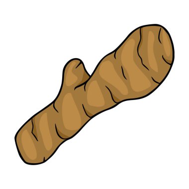 Tek, zengin kahverengi ardıç üzümünün biçimlendirilmiş vektör çizimi, ince gölgeleme ve temiz beyaz arka planda koyu siyah çizgiler..