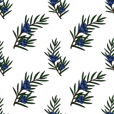 Mavi böğürtlen ve yeşil iğneli ardıç dallarının kusursuz vektör deseni.