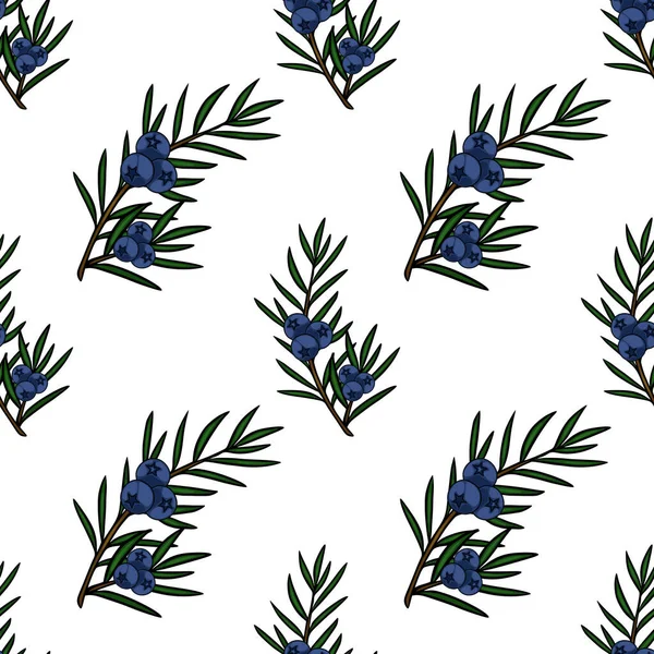 Mavi böğürtlen ve yeşil iğneli ardıç dallarının kusursuz vektör deseni.