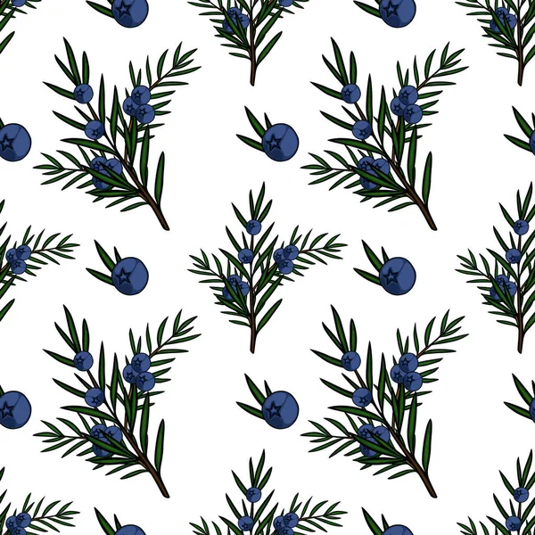 Olgun mavi böğürtlenli ardıç dallarının kusursuz vektör deseni, temiz, resimsel bir stile sahip..