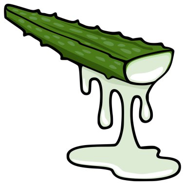 Canlı yeşil aloe vera yaprağı segmentinin biçimlendirilmiş vektör çizimi şeffaf, jel benzeri özsuyu aşağıya doğru damlayan, temiz beyaz bir arka plana karşı sunulan, bir natura hissi uyandıran...