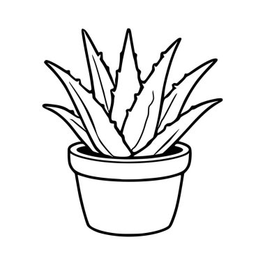 Minimalist siyah beyaz vektör çizimi, dikenli yapraklarını ve basit seramik tenceresini temiz beyaz arka planda sergileyen bir aloe vera bitkisi..