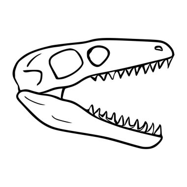 Keskin dişli ve beyaz üzerinde izole edilmiş açık çeneli bir dinozor kafatasının çarpıcı vektör çizimi.