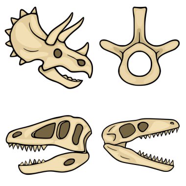 Beyaz üzerinde izole edilmiş dinozor kafatasları ve bir omurun vektör çizimi
