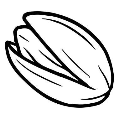 Beyaz üzerine izole edilmiş tek bir fıstığın şekillendirilmiş vektör çizimi