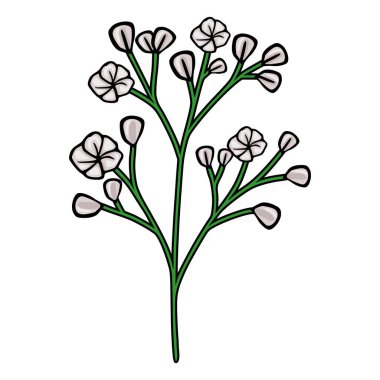 Beyaz bir bebeğin yeşil saplı çiçek filizinin hassas vektör çizimi