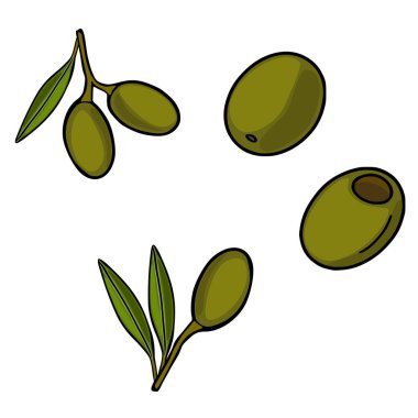 Beyaz arkaplanda yaprakları olan olgun yeşil zeytinlerin vektör çizimi