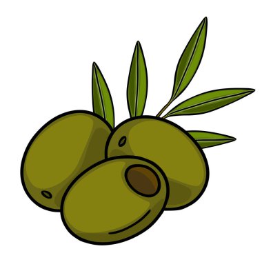 Beyaz arkaplanda izole edilmiş yapraklı olgun yeşil zeytinlerin vektör çizimi