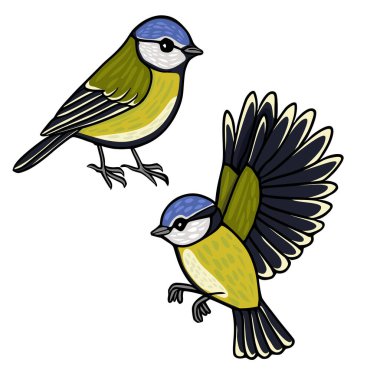 Blue Tit Bird Vector Illustration, One Flying, One Perched