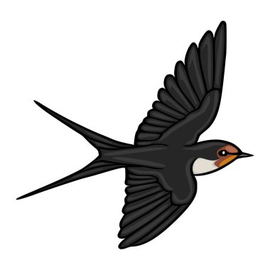 Beyaz arka planda izole edilmiş, uçan bir ahır kırlangıç kuşunun vektör çizimi