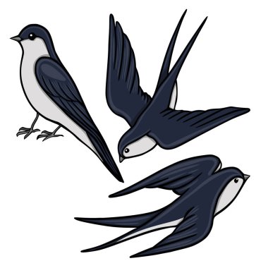 Uçarken üç kırlangıç kuşunun zarif bir temsili. Ve beyaz üzerine tünemiş.