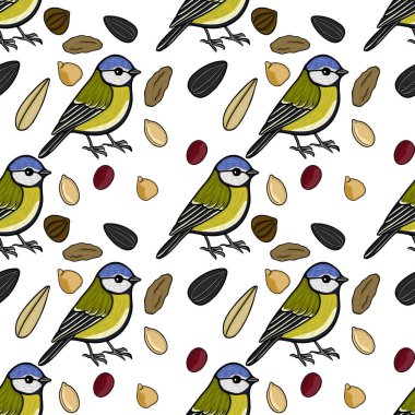 Seamless vector pattern illustration of blue tit birds and various seeds on white background