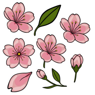 Pembe Sakura Kiraz Çiçekleri ve Buds Vektör İllüstrasyonu