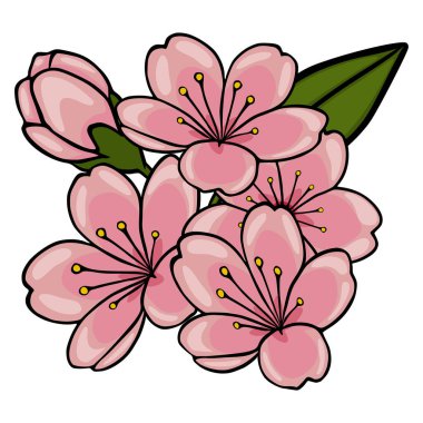 Yeşil yapraklı zarif pembe kiraz çiçeği vektör çizimi