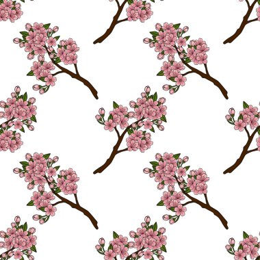 Beyaz arka planda yeşil yapraklı, çiçek açan pembe kiraz çiçeklerinin kusursuz vektör deseni.