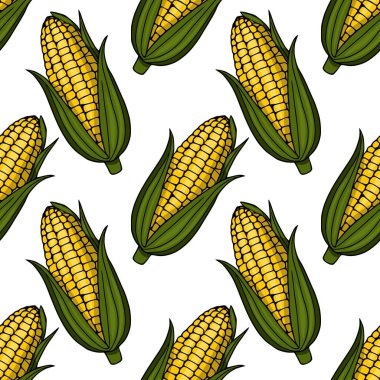 Yeşil kabuklu taze sarı mısır koçanları, beyaz arka planda izole edilmiş, kusursuz vektör deseni..